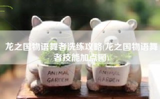 龙之国物语舞者洗练攻略(龙之国物语舞者技能加点图)