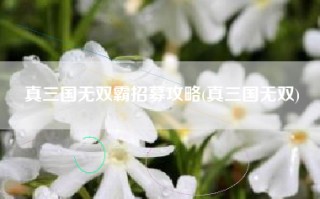 真三国无双霸招募攻略(真三国无双)