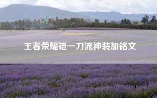 王者荣耀铠一刀流神装加铭文