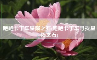 跑跑卡丁车星陨之石(跑跑卡丁车寻找星陨之石)