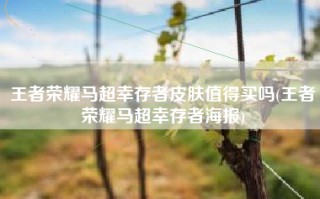 王者荣耀马超幸存者皮肤值得买吗(王者荣耀马超幸存者海报)