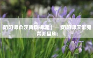 阴阳师食茨青刷御魂十一(阴阳师天邪鬼青哪里刷)