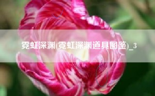 霓虹深渊(霓虹深渊道具图鉴)_3