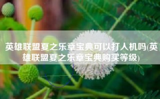 英雄联盟夏之乐章宝典可以打人机吗(英雄联盟夏之乐章宝典购买等级)
