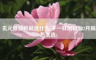 玄元修仙开局选什么(不一样的修仙2开局怎么选)