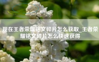 现在王者荣耀铭文碎片怎么获取_王者荣耀铭文碎片怎么快速获得