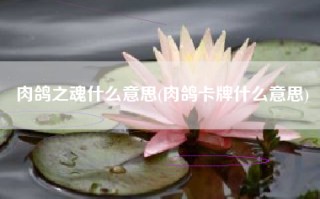 肉鸽之魂什么意思(肉鸽卡牌什么意思)