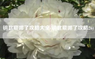 钥匙藏哪了攻略大全(钥匙藏哪了攻略26)