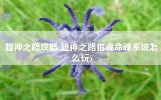 超神之路攻略(超神之路猎魂命魂系统怎么玩)