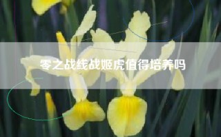 零之战线战姬虎值得培养吗