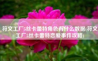 符文工厂5丝卡蕾特角色有什么数据(符文工厂5丝卡蕾特恋爱事件攻略)