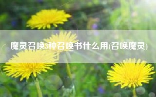 魔灵召唤3种召唤书什么用(召唤魔灵)