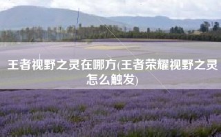 王者视野之灵在哪方(王者荣耀视野之灵怎么触发)