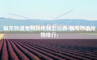 驯龙物语宠物丘比特怎么得(驯龙物语宠物排行)