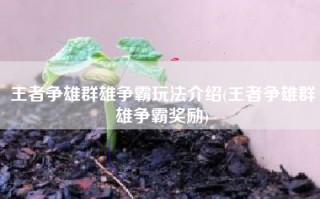 王者争雄群雄争霸玩法介绍(王者争雄群雄争霸奖励)