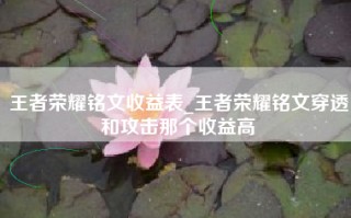 王者荣耀铭文收益表_王者荣耀铭文穿透和攻击那个收益高