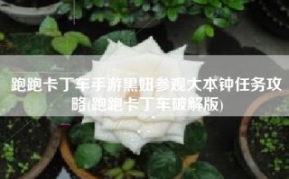 跑跑卡丁车手游黑妞参观大本钟任务攻略(跑跑卡丁车破解版)