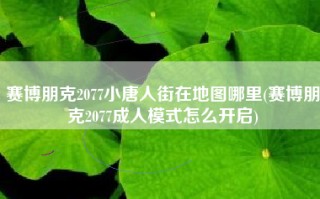 赛博朋克2077小唐人街在地图哪里(赛博朋克2077成人模式怎么开启)