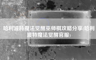 哈利波特魔法觉醒巫师棋攻略分享(哈利波特魔法觉醒官服)