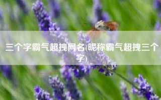 三个字霸气超拽网名(昵称霸气超拽三个字)