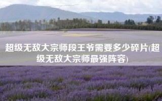 超级无敌大宗师段王爷需要多少碎片(超级无敌大宗师最强阵容)