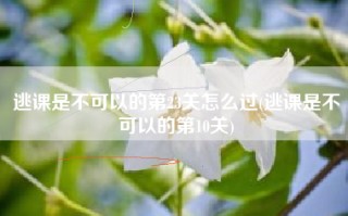 逃课是不可以的第23关怎么过(逃课是不可以的第10关)