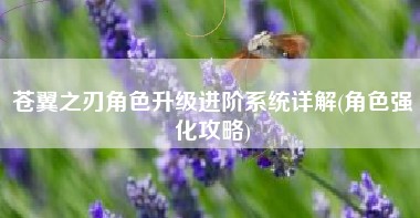 苍翼之刃角色升级进阶系统详解(角色强化攻略)