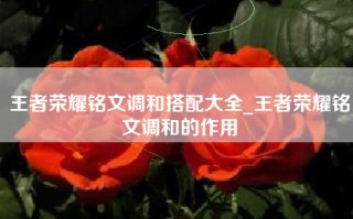 王者荣耀铭文调和搭配大全_王者荣耀铭文调和的作用