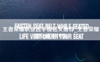 王者荣耀职业选手镜铭文推荐_王者荣耀职业选手代码