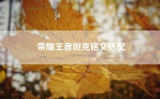 荣耀王者坦克铭文搭配