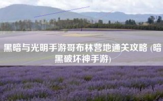 黑暗与光明手游哥布林营地通关攻略 (暗黑破坏神手游)