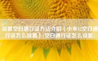 设置空白通行证方法介绍（小米12空白通行证怎么设置）(空白通行证怎么设置)