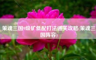 策魂三国9级矿低配打法通关攻略(策魂三国阵容)