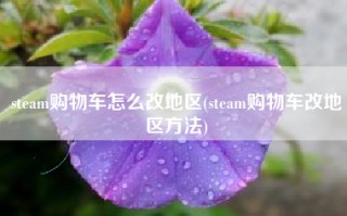 steam购物车怎么改地区(steam购物车改地区方法)