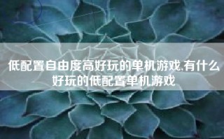 低配置自由度高好玩的单机游戏,有什么好玩的低配置单机游戏