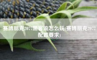 赛博朋克2077黑客流怎么玩(赛博朋克2077配置要求)
