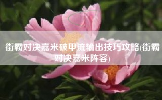 街霸对决嘉米破甲流输出技巧攻略(街霸对决嘉米阵容)