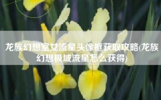 龙族幻想室女流星头像框获取攻略(龙族幻想极域流星怎么获得)