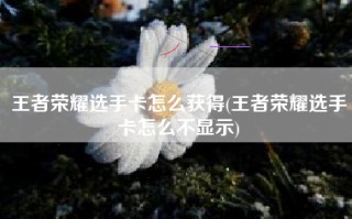 王者荣耀选手卡怎么获得(王者荣耀选手卡怎么不显示)