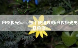 白夜极光Nadine娜丁使用攻略(白夜极光男性角色)