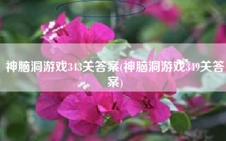 神脑洞游戏343关答案(神脑洞游戏349关答案)