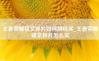 王者荣耀铭文碎片如何用钱买_王者荣耀铭文碎片怎么买