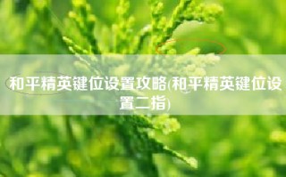 和平精英键位设置攻略(和平精英键位设置二指)