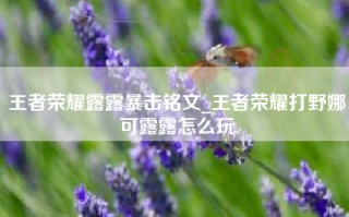 王者荣耀露露暴击铭文_王者荣耀打野娜可露露怎么玩