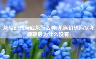 龙族幻想海底龙怎么弄(龙族幻想海底龙领取后为什么没有)