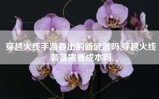 穿越火线手游要出的新武器吗,穿越火线装备需要成本吗