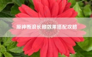 原神断浪长鳍效果搭配攻略