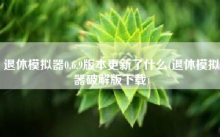 退休模拟器0.6.9版本更新了什么(退休模拟器破解版下载)