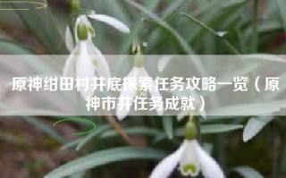原神绀田村井底探索任务攻略一览（原神市井任务成就）
