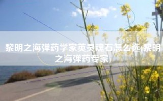 黎明之海弹药学家英灵魂石怎么选(黎明之海弹药专家)